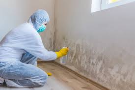 Best Mold Documentation for Insurance Claims  in Aberdeen, WA